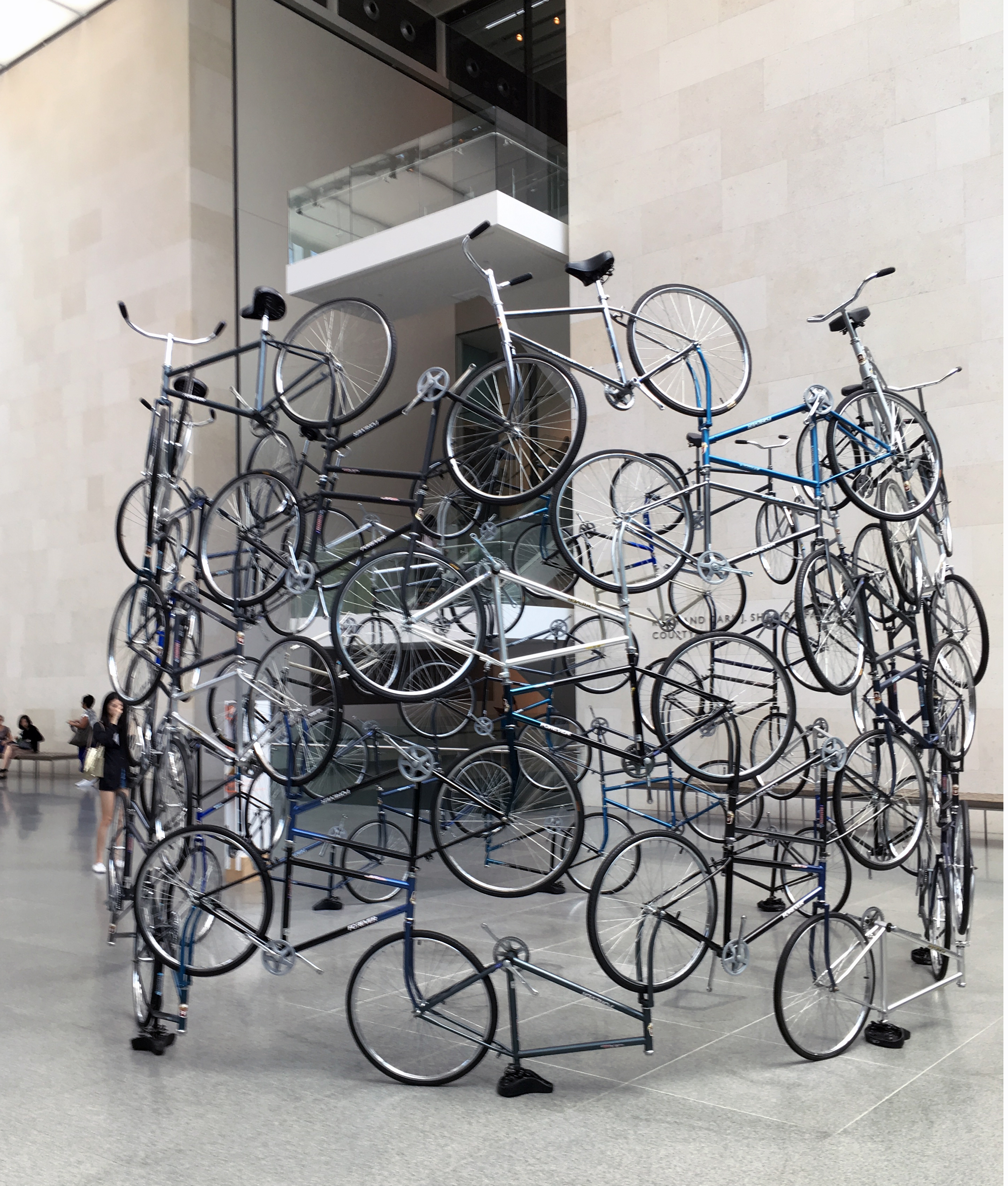 Boston Museum of Fine Arts, Ai Wei Wei